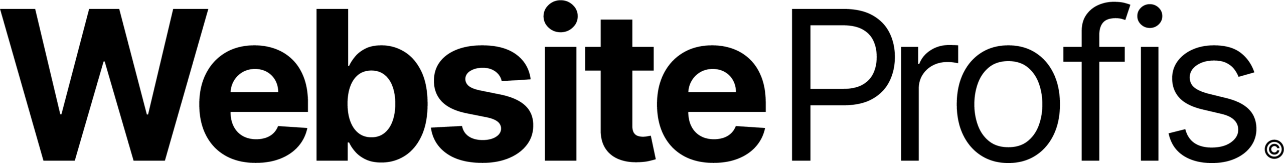 Website Profis