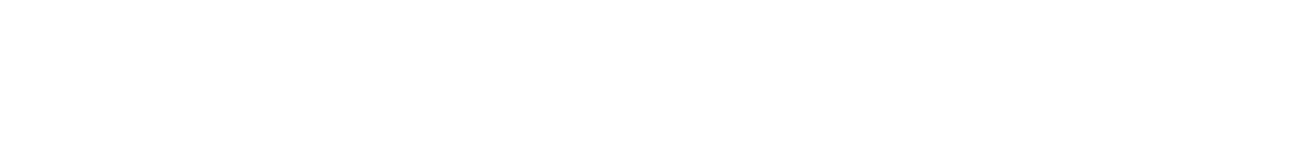 Website Profis